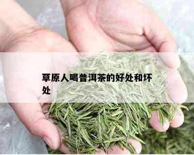 草原人喝普洱茶的好处和坏处