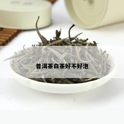 普洱茶白茶好不好泡