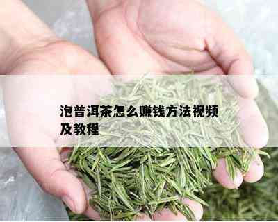 泡普洱茶怎么赚钱方法视频及教程