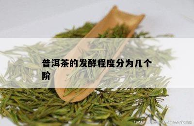 普洱茶的发酵程度分为几个阶