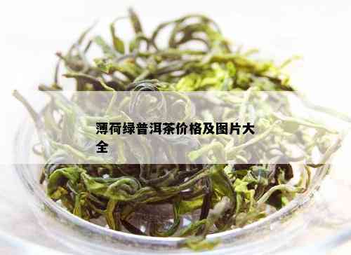 薄荷绿普洱茶价格及图片大全