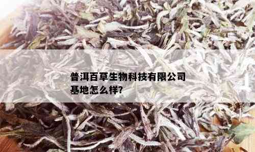 普洱百草生物科技有限公司基地怎么样？