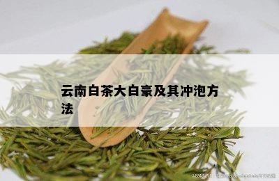 云南白茶大白豪及其冲泡方法