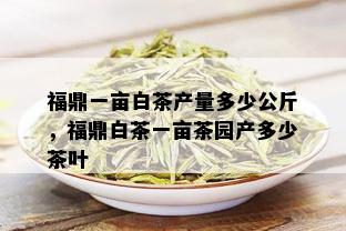 福鼎一亩白茶产量多少公斤，福鼎白茶一亩茶园产多少茶叶