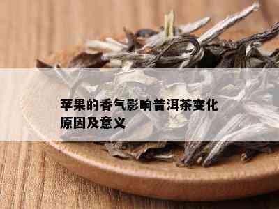 苹果的香气影响普洱茶变化原因及意义