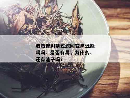 泡熟普洱茶过滤网变黑还能喝吗，是否有，为什么，还有渣子吗？