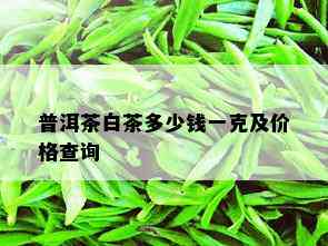 普洱茶白茶多少钱一克及价格查询