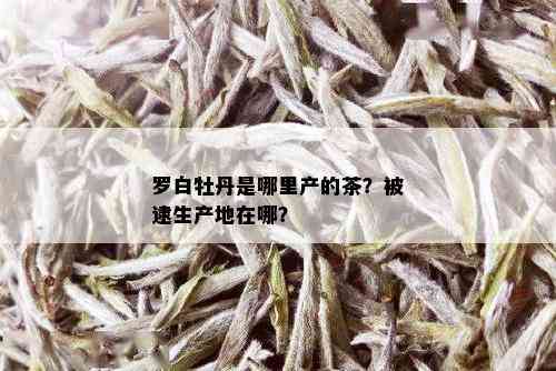 罗白牡丹是哪里产的茶？被逮生产地在哪？