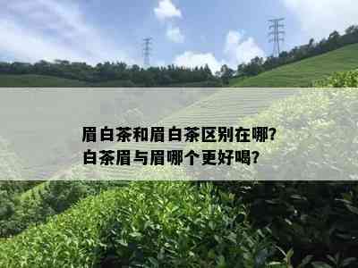 眉白茶和眉白茶区别在哪？白茶眉与眉哪个更好喝？