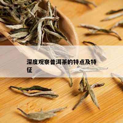 深度观察普洱茶的特点及特征