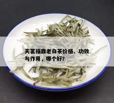 天茗福鼎老白茶价格、功效与作用，哪个好？