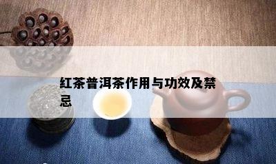 红茶普洱茶作用与功效及禁忌