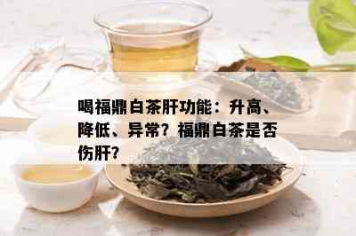 喝福鼎白茶肝功能：升高、降低、异常？福鼎白茶是否伤肝？