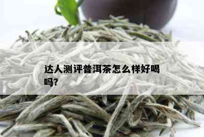 达人测评普洱茶怎么样好喝吗？