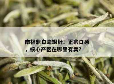 南福鼎白毫银针：正宗口感，核心产区在哪里有卖？