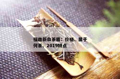 福鼎新白茶眉：价格、属于何茶、2019特点