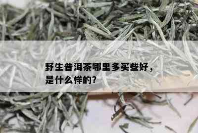 野生普洱茶哪里多买些好，是什么样的？