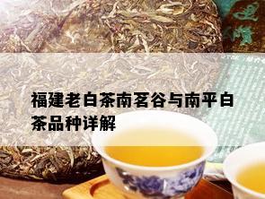 福建老白茶南茗谷与南平白茶品种详解