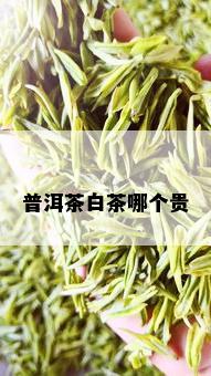 普洱茶白茶哪个贵