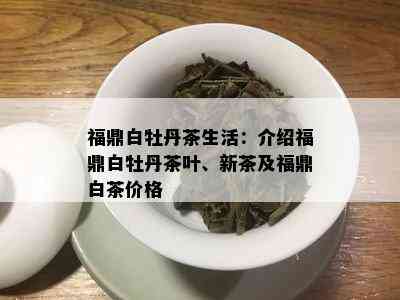 福鼎白牡丹茶生活：介绍福鼎白牡丹茶叶、新茶及福鼎白茶价格