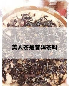 美人茶是普洱茶吗