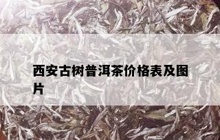 西安古树普洱茶价格表及图片