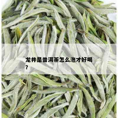 龙井是普洱茶怎么泡才好喝？