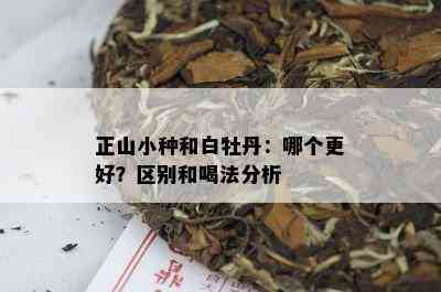 正山小种和白牡丹：哪个更好？区别和喝法分析