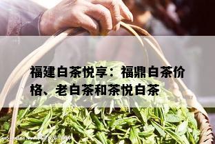 福建白茶悦享：福鼎白茶价格、老白茶和茶悦白茶