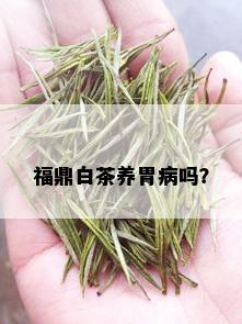 福鼎白茶养胃病吗？