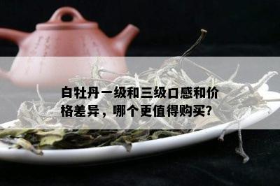 白牡丹一级和三级口感和价格差异，哪个更值得购买？