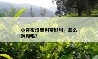 小青柑泡普洱茶好吗，怎么泡和喝？