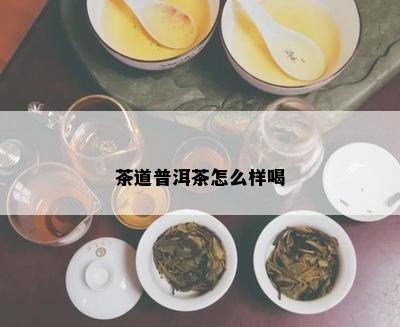 茶道普洱茶怎么样喝