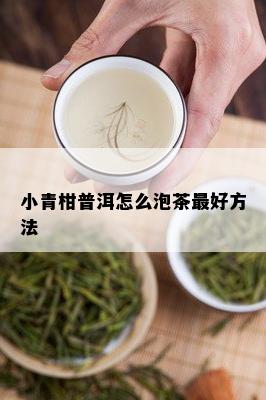 小青柑普洱怎么泡茶更好方法