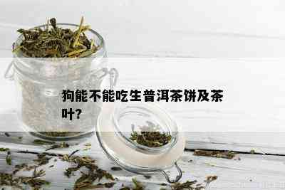 狗能不能吃生普洱茶饼及茶叶?