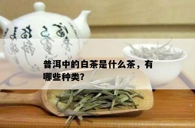 普洱中的白茶是什么茶，有哪些种类？