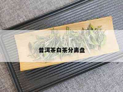 普洱茶白茶分离盘