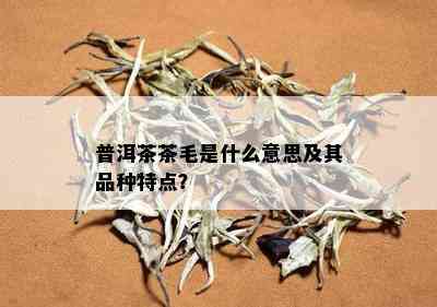 普洱茶茶毛是什么意思及其品种特点？