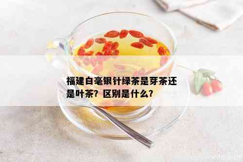 福建白毫银针绿茶是芽茶还是叶茶？区别是什么？