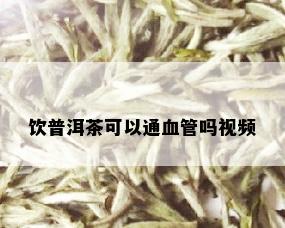 饮普洱茶可以通血管吗视频