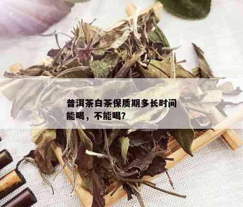 普洱茶白茶保质期多长时间能喝，不能喝？