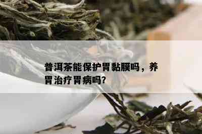 普洱茶能保护胃黏膜吗，养胃治疗胃病吗？