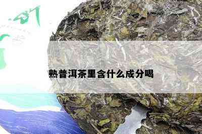 熟普洱茶里含什么成分喝