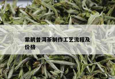 紫鹃普洱茶制作工艺流程及价格