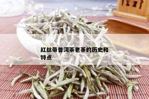 红丝带普洱茶老茶的历史和特点