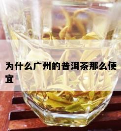 为什么广州的普洱茶那么便宜