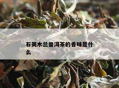 石英木兰普洱茶的香味是什么