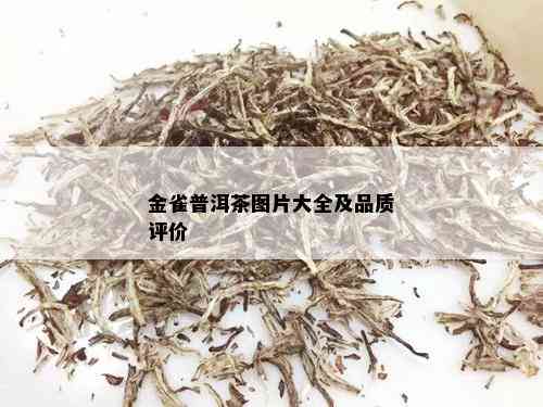 金雀普洱茶图片大全及品质评价