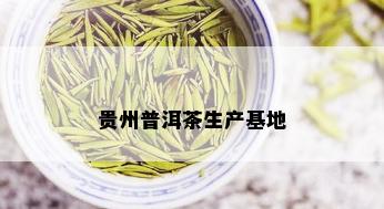 贵州普洱茶生产基地