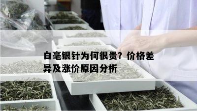 白毫银针为何很贵？价格差异及涨价原因分析